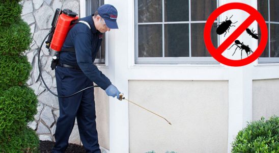 Helvacı Bit İlaçlama böcek ilaçlama ve haşere kontrolü — ilaclama-tr.com